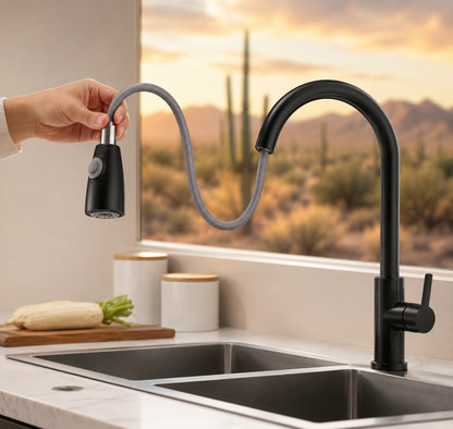 Stainless Steel Pull-Down Faucet for Kitchen Sink
