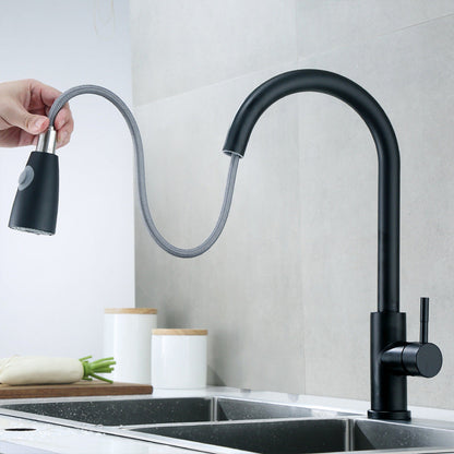 Stainless Steel Pull-Down Faucet for Kitchen Sink